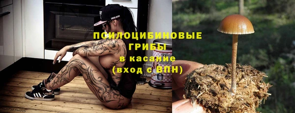 гидропоника Баксан